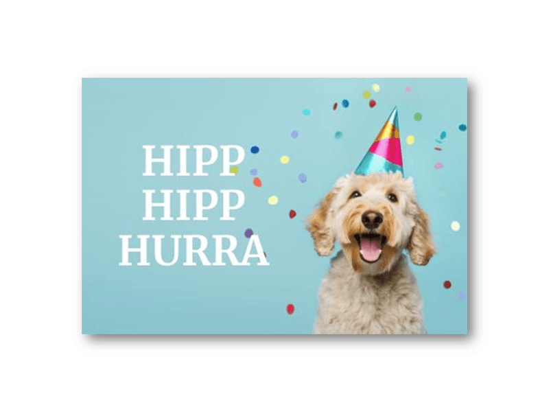 50 stk | Partyhund | 10x15 cm